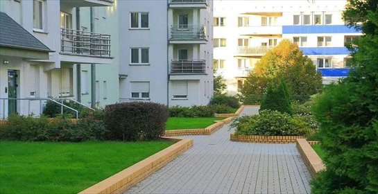 Mieszkanie na wynajem 66m2 mieszkanie Poznań, Jeżyce, Mylna