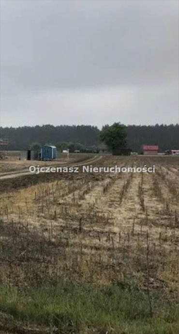 Sprzedam działkę 1203 m² z widokiem na las w Starym Jasińcu działka Stary Jasiniec