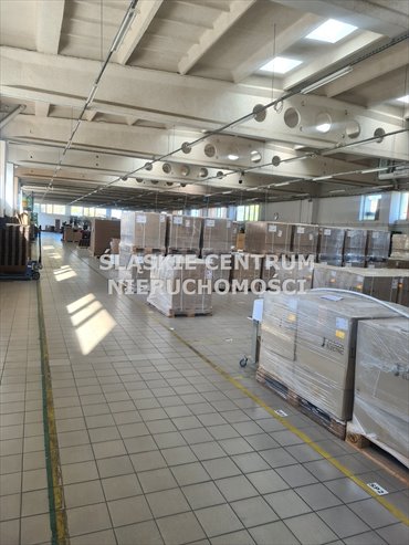 Magazyn 3500 m² z biurem i parkingiem w Będzinie magazyn Będzin, Syberka, Piłsudskiego