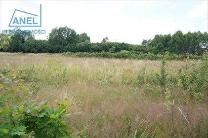 Działka inna pod dzierżawę Mikołów, Borowa Wieś 541m2 Foto 2