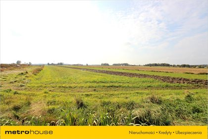 Działka siedliskowa na sprzedaż Zalesie, Zelów 34 300m2 Foto 2