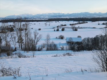 działka na sprzedaż 5974m2 działka Odrowąż