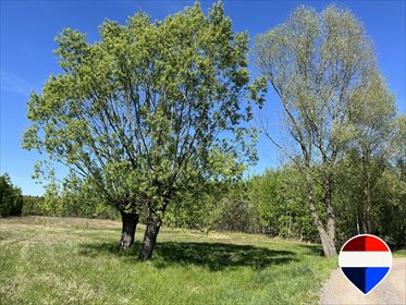 Działka siedliskowa 4000 m² z mediami i potencjałem działka Miński, Graniczna