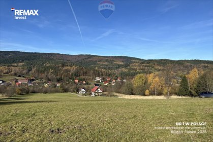 działka na sprzedaż 23200m2 działka Las