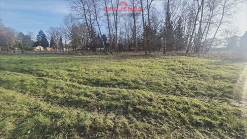 Działki budowlane w Tatynii blisko lasu i miasta działka Tatynia