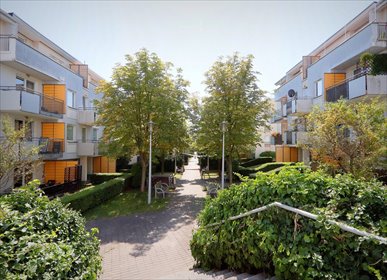 mieszkanie na wynajem 52m2 mieszkanie Poznań, Stare Miasto, Piątkowo, Rubież