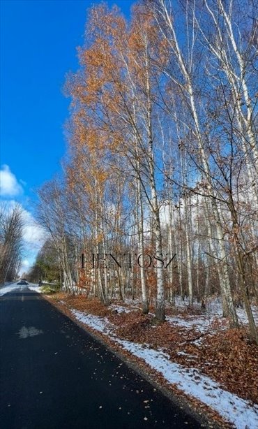 działka na sprzedaż 1113m2 działka Żelechów, Żelechów, Majowa