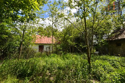 Zapraszam do siedliska w Strzelcach z domem 50 m² i działką 1,6 ha dom Strzelce