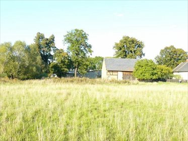 działka na sprzedaż 10000m2 działka Miłocice