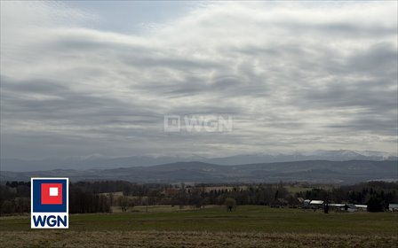 Sprzedam atrakcyjną działkę 2000 m² w Grudzi działka Grudza, Grudza, Grudza