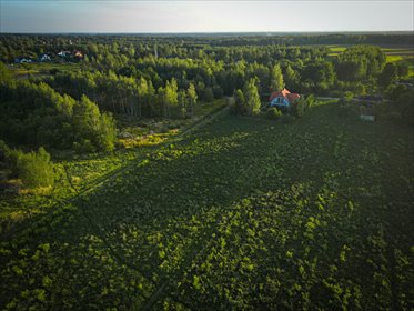 Działka 3754 m² z WZ – Ignaców, gm. Brzeziny działka Jordanów