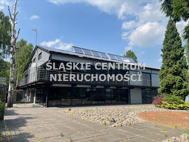 Lokal użytkowy na sprzedaż Dąbrowa Górnicza, Pogoria, Żeglarska 1 201m2 Foto 4