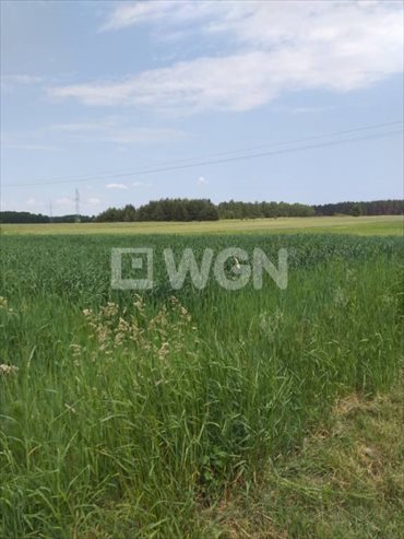 Działka budowlana na sprzedaż Ogrodzisko, Ogrodzisko, Ogrodzisko 2 100m2 Foto 1