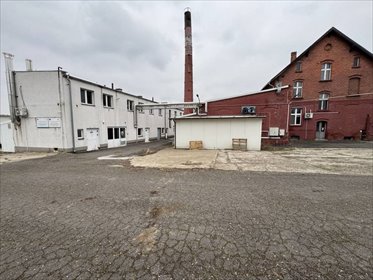Nieruchomość 1,36 ha w Łambinowicach - sprzedaż w konkursie lokal użytkowy Łambinowice
