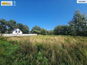 Działka 810 m² w Sławoszewie z warunkami zabudowy zapraszam działka Sławoszewo