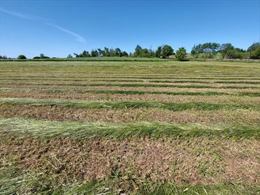 działka na sprzedaż 21300m2 działka Kopnica, Kopnica