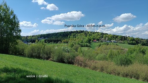 działka na sprzedaż 4888m2 działka Święta Katarzyna