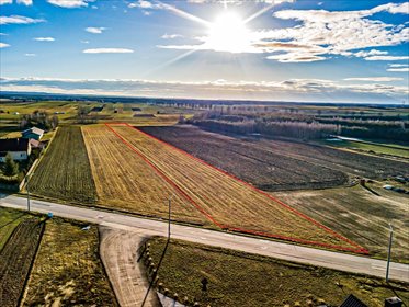 działka na sprzedaż 8650m2 działka Małogoszcz, Wola Tesserowa