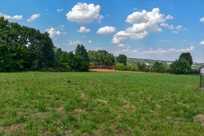 działka na sprzedaż 7700m2 działka Krzywaczka