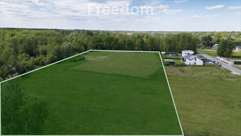 Zapraszam do zakupu dużej działki 2,57 ha w Książenicach działka Książenice, al. Olszowa