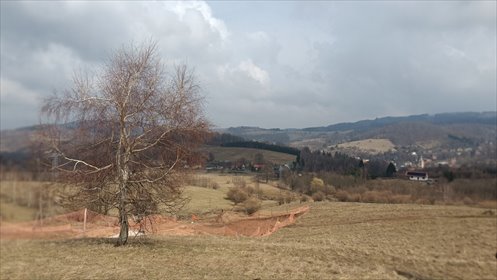 działka na sprzedaż 1200m2 działka Walim