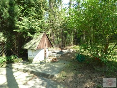 Dom na sprzedaż Bechcice-Kolonia 20m2 Foto 7