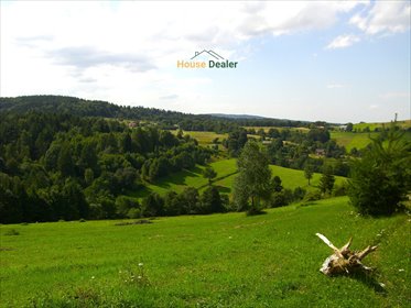 działka na sprzedaż 3418m2 działka Czaszyn, Brzozowiec