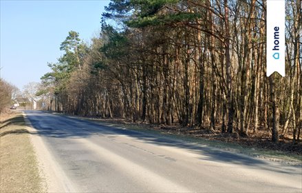 działka na sprzedaż 10000m2 działka Łuszczów Pierwszy