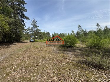 Zapraszam do zakupu działki 5328 m² w Kątach z lasem i prywatnością działka Kąty, Brzozowa