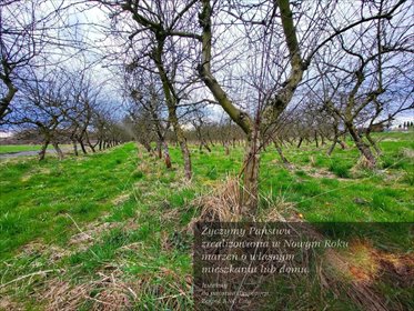 działka na sprzedaż 6300m2 działka Motycz