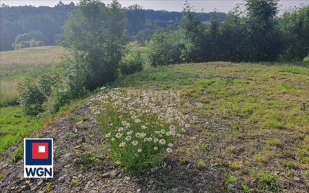 działka na sprzedaż 6800m2 działka WIŚLICA