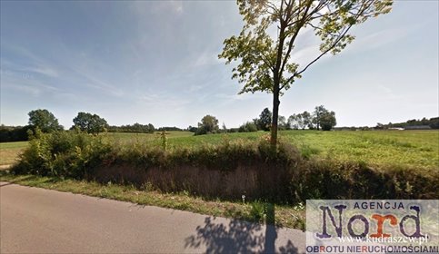 działka na sprzedaż 3300m2 działka Bargłów Kościelny, Ogrodowa