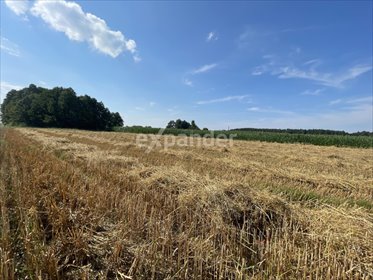 działka na sprzedaż 1000m2 działka Kalisz