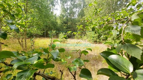 działka na sprzedaż 3000m2 działka Jaktorów