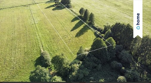 Działka inwestycyjno-budowlana 13 000 m² (media, warunki) działka Żurczyn
