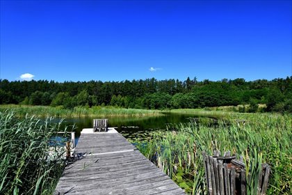 działka na sprzedaż 4186m2 działka Starogard Gdański