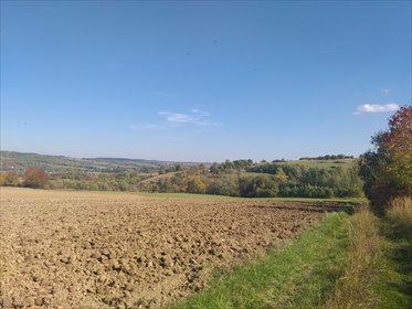 działka na sprzedaż 5520m2 działka Makowiska