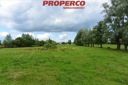 Działka 7100 m² w Pijanowie - polecam działka Słupia (Konecka), Pijanów