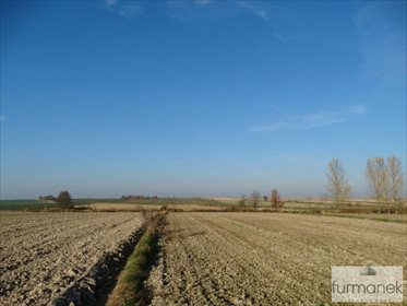 działka na sprzedaż 7838m2 działka Babice