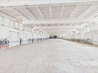Polecam przestronną halę 1800 m² w Sztumska Wieś lokal użytkowy Sztumska Wieś