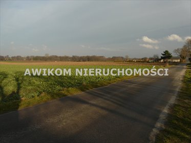 działka na sprzedaż Nowy Kawęczyn Nowy Dwór-Parcela 10900 m2