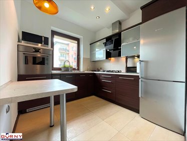 mieszkanie na wynajem 49m2 mieszkanie Piotrków Trybunalski