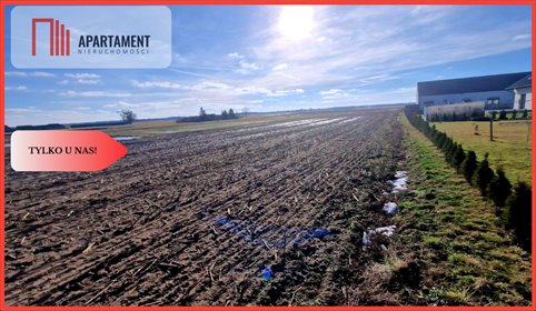 działka na sprzedaż 828m2 działka Sępólno Krajeńskie