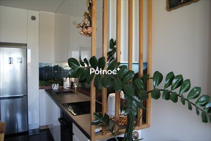 mieszkanie na wynajem 34m2 mieszkanie Łódź, Polesie