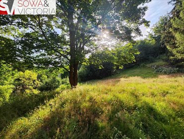 Działka budowlana z widokiem na las i strumień, 3353 m2 działka Jelenia Góra, Jagniątków
