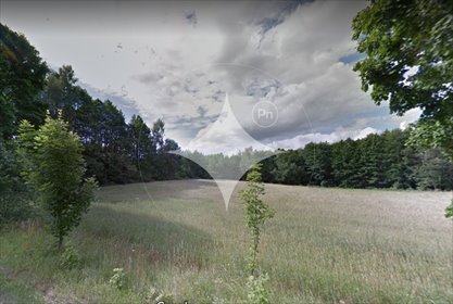 działka na sprzedaż 3081m2 działka Brukowo