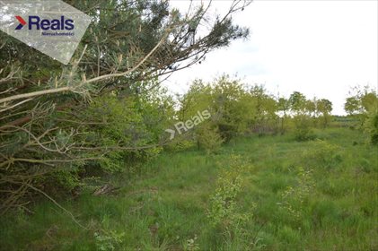 Działka budowlana na sprzedaż Kaliszki 1 290m2 Foto 2