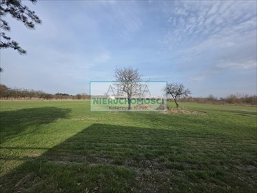 Działka 3150 m² z mediami, blisko Grodziska Mazowieckiego działka Kozery