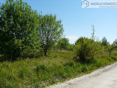 działka na sprzedaż 4000m2 działka Lusowo