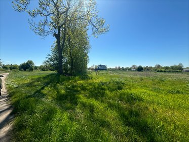 działka na sprzedaż 901m2 działka Malbork, Ceglana